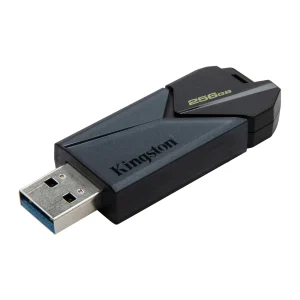 Kingston Exodia Onyx USB 3.2 256GB